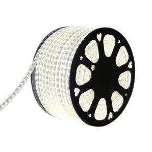 220v 5050 Led Strip Light 6500k 1m Bing Light - Light Market