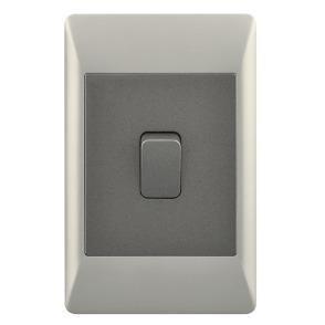 4X2 1 Lever Light Switch Champagne & Charcoal ESW071 Duo Bright Star - Light Market