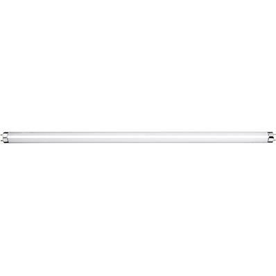 T8 2FT 18W Fluorescent Tube 4000K RLF49 - Light Market